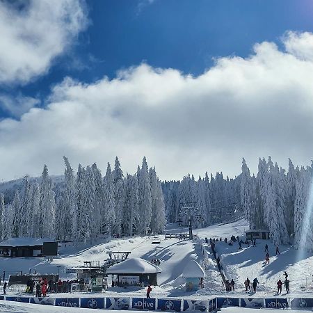 Aparthotel Woodside By Anaya Kopaonik Luaran gambar